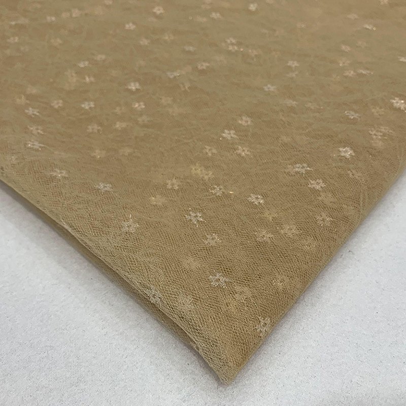 Lace Fabric Dress Cutwork Nylon Foil for Women's Wear Wholesale Suppli 2